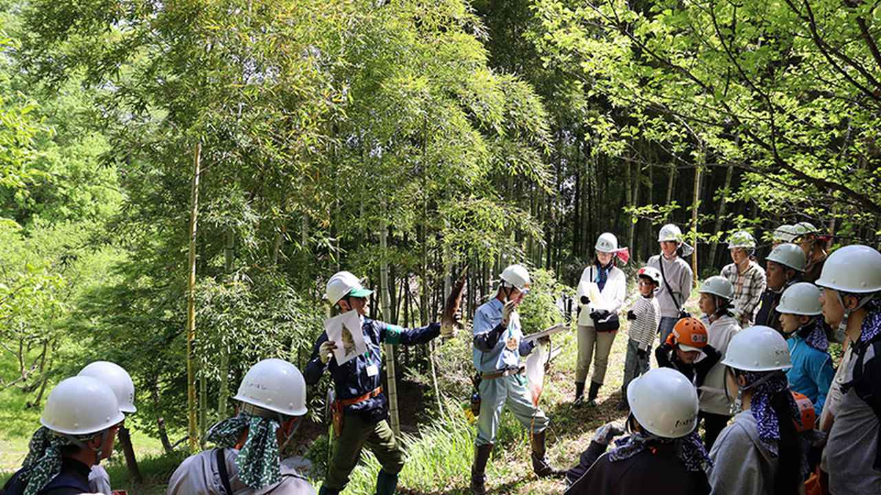 画像：タケノコ駆除前に竹の生態を知ろう​​