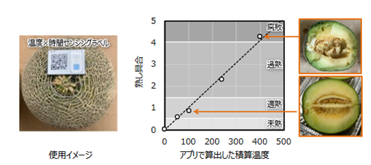 [画像]メロンの熟し具合可視化機能の実験結果