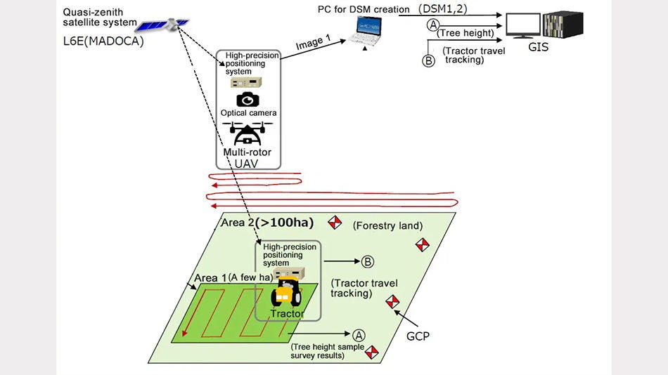 Esquema de um sistema baseado em satélite para medir a altura de um grande número de árvores