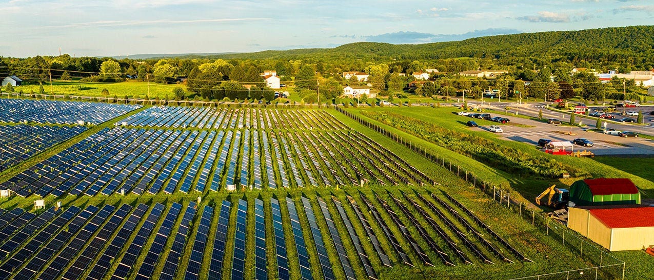 Bringing Green Energy to the Grid—Former President of California Utilities Commission Talks EVs, Digital Solutions and Climbing Telephone Poles