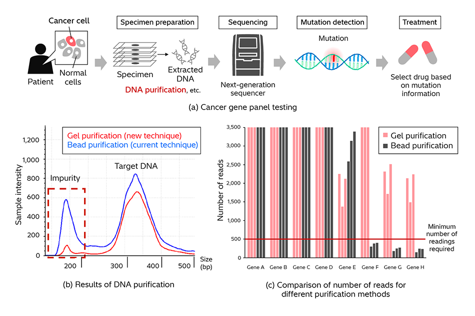 [7] Genetic Testing System