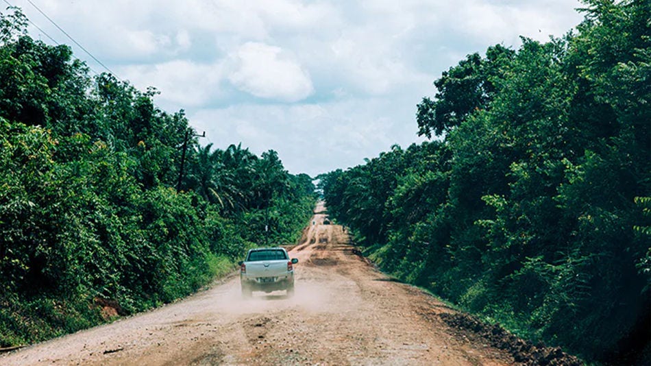 Caminhonete dirigindo por uma estrada de terra através de um vasto terreno de reflorestamento