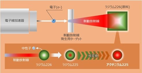 [画像]図2  電子線形加速器によるアクチニウム225の製造方法