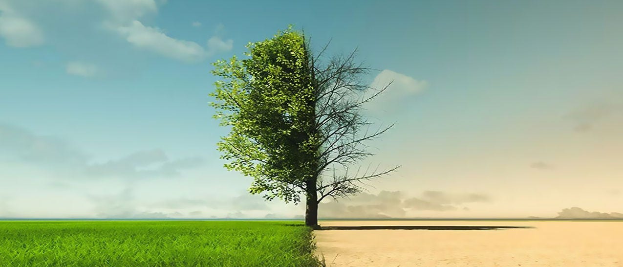 O que é o conceito de "Fronteiras Planetárias": Indicando os limites do ambiente global