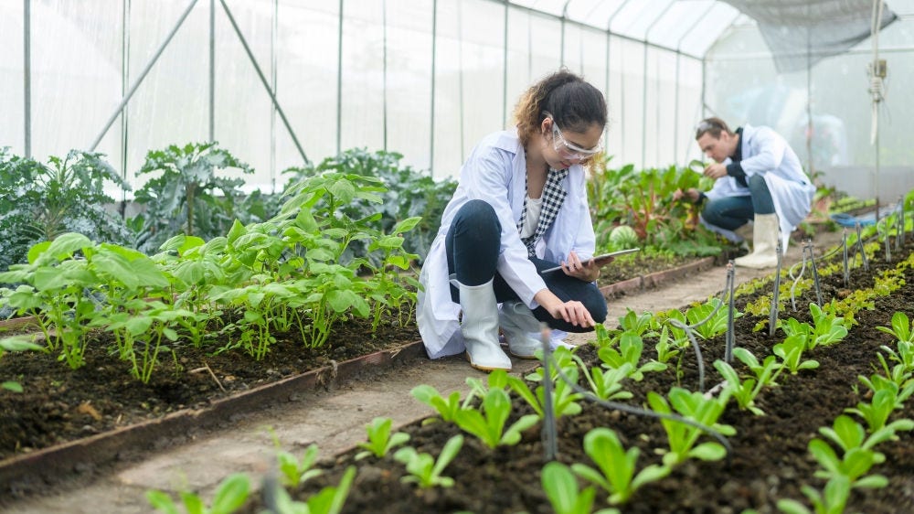 Addressing Food Security