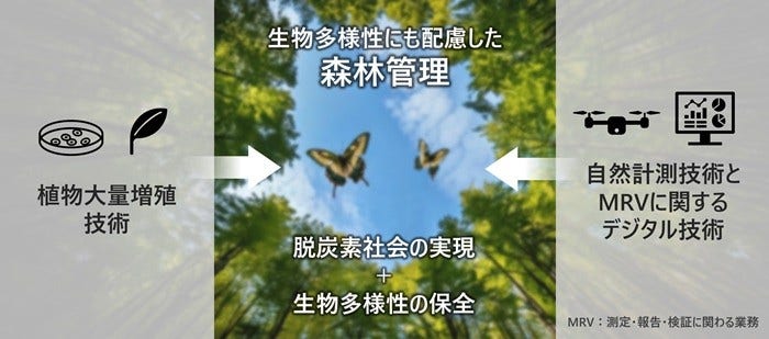 [画像]質の高いクレジット創出に向けた仕組み