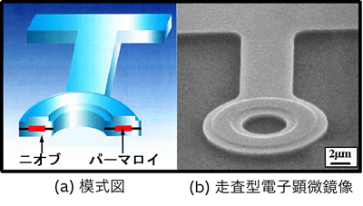 [画像]アハラノフ＝ボーム効果の検証実験に用いられたサンプル