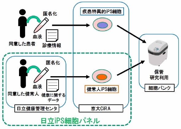 [画像]「日立iPS細胞パネル」の範囲