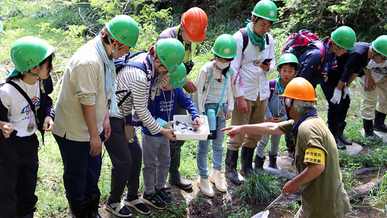 画像: 湿地での水生生物観察