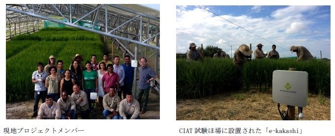 [画像](左)現地プロジェクトメンバー、(右)CIAT試験ほ場に設置された「e-kakashi」