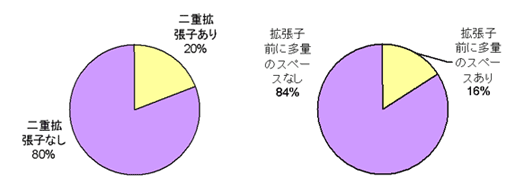 図 6：二重拡張子の傾向