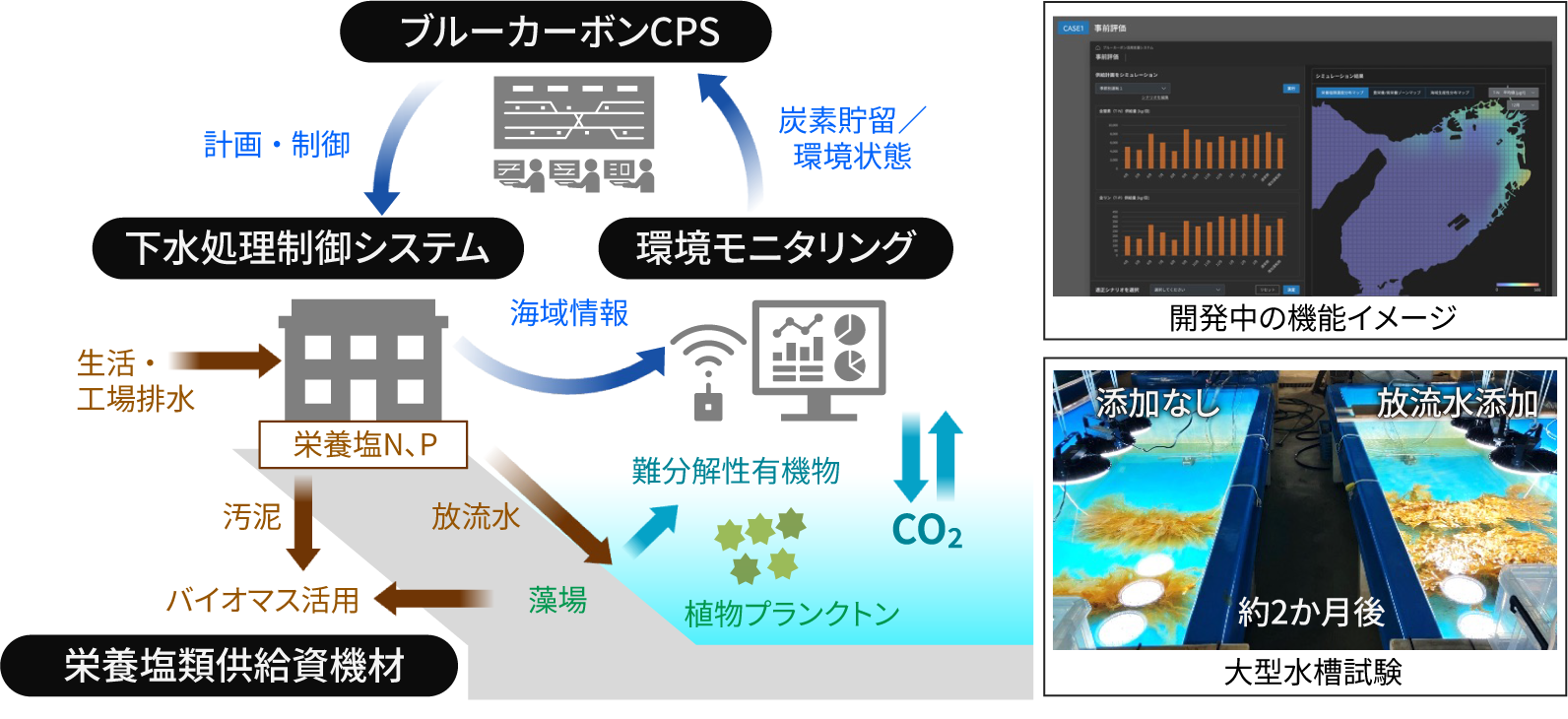 ［図4］ブルーカーボンソリューションの概要