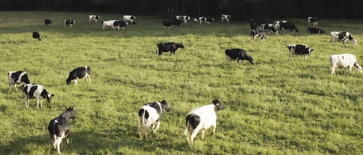 smart farming for sustainable hitachi-smart-technology-to-advance-agriculture-hero