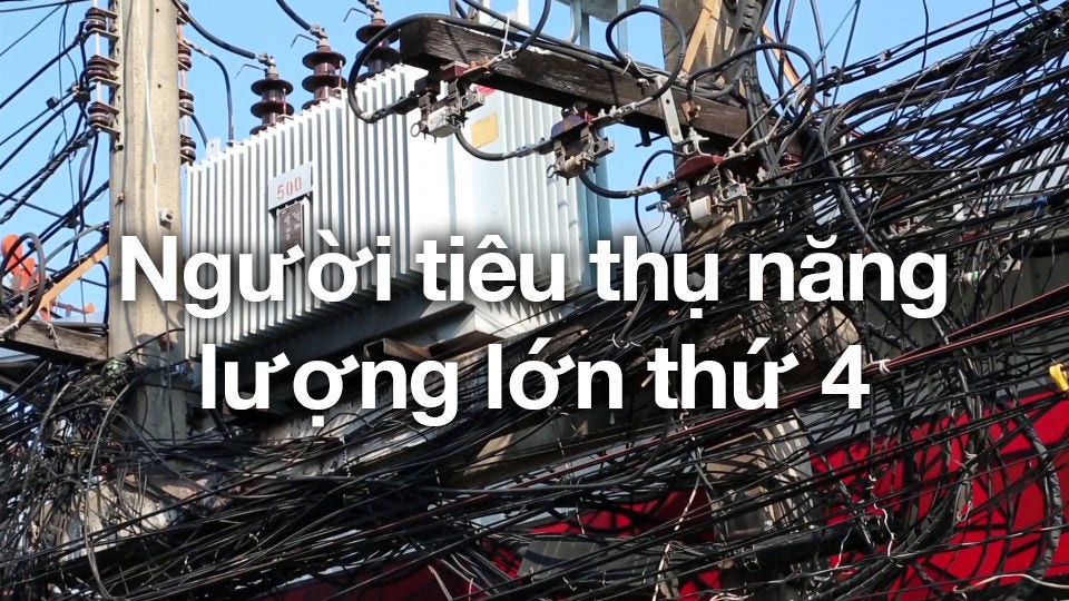 Gain Insights on Trends