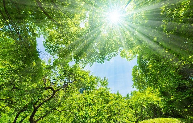 Aerial view of a wind turbine