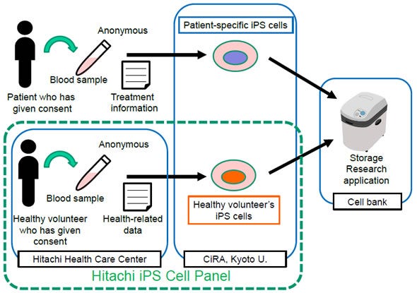 [image]Scope of the Hitachi iPS Cell Panel