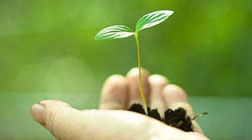 Hitachi's Environmental Initiatives in the Nuclear Energy Business