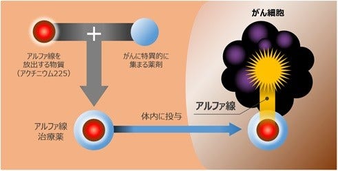 [画像]図1 アルファ線内用療法の原理