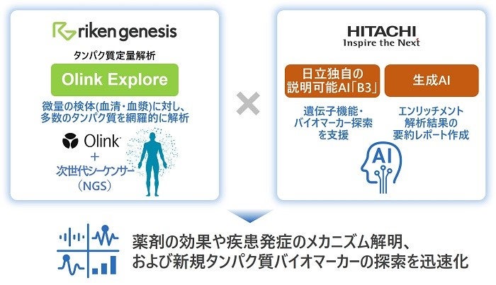 理研ジェネシスと日立が、説明可能AIと生成AIの活用により、タンパク質