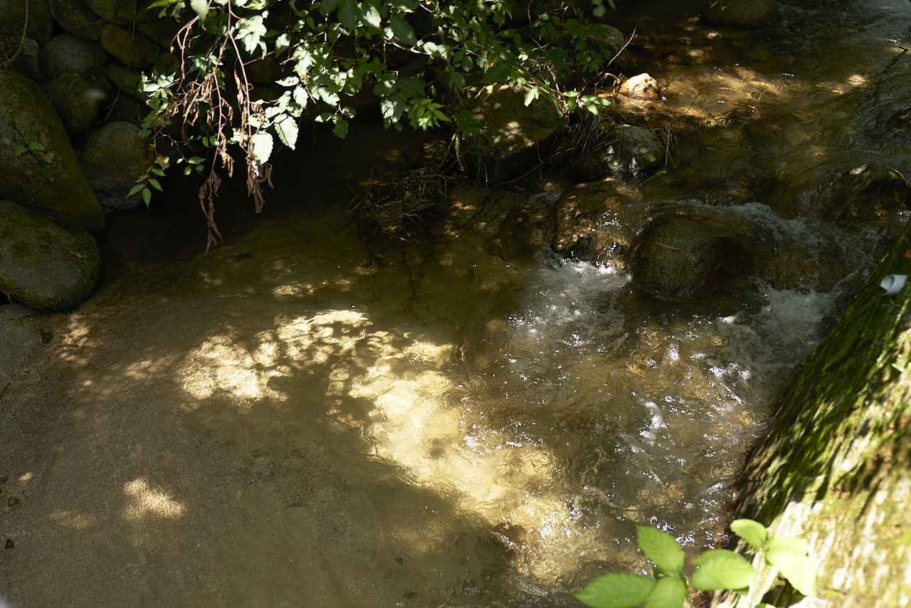 画像: 酒蔵のすぐ横には、岩魚が釣れる清流が流れている