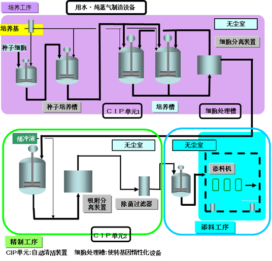 图像: 细胞培养的医药品制造工艺
