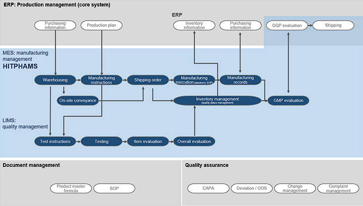 Example business process flow and system scope