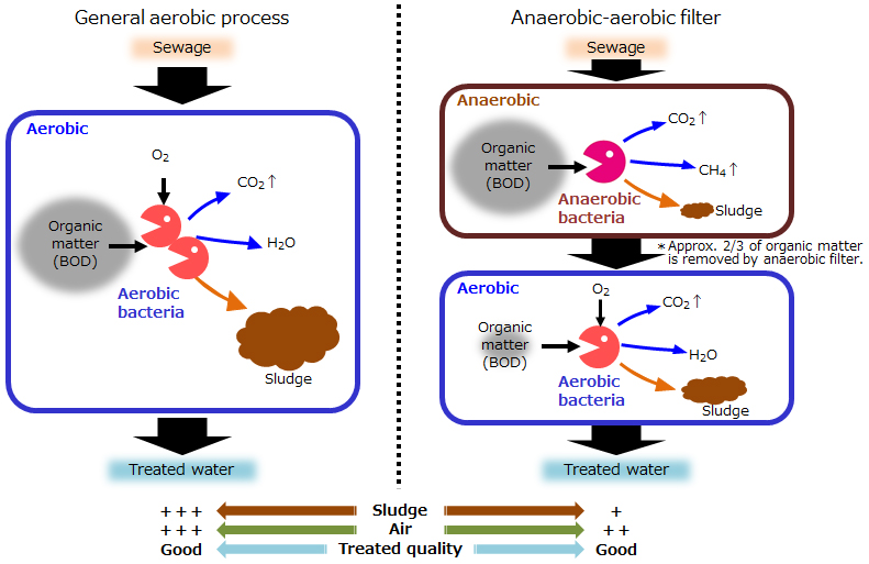 A2F Process (Anaerobic-aerobic Filters) : Water ... sewage flow diagram 