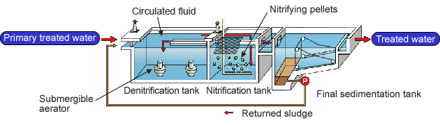 Image: Standard PE structural diagram