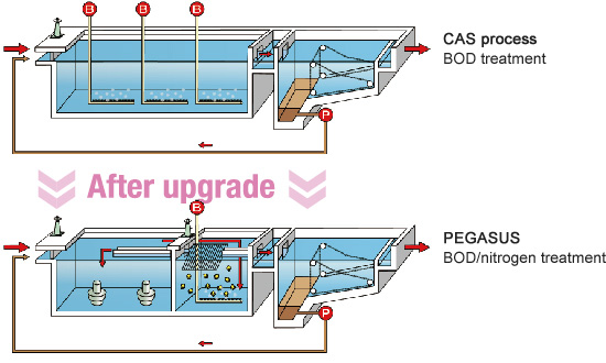 Image: Diagram comparing PEGASUS to existing methods