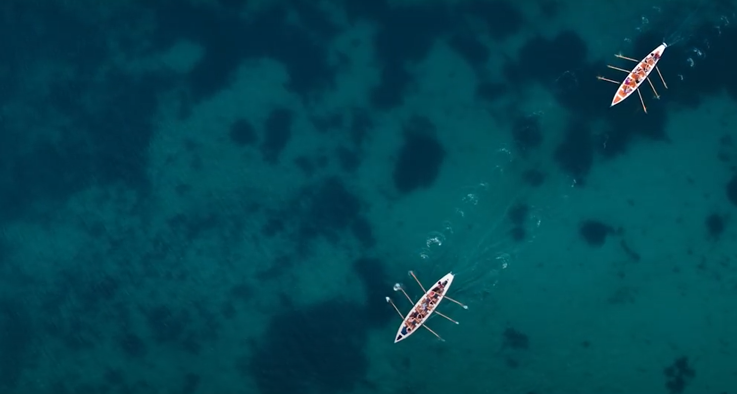 boats rowing across a sea