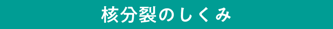 核分裂のしくみ
