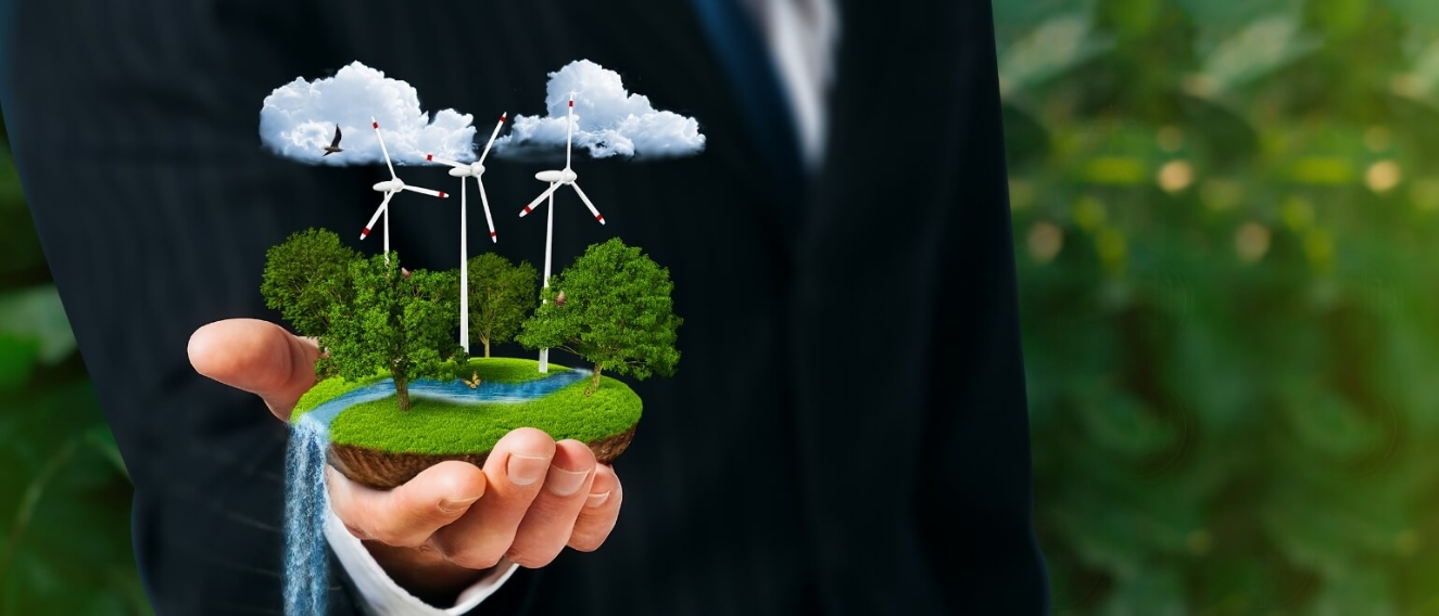 India's Energy Future