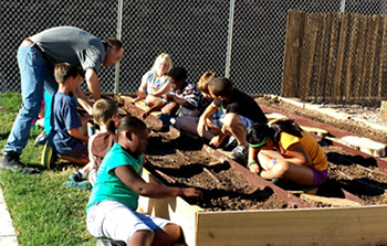 Image: Students planting in vegetable garden