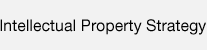 Intellectual Property Strategy