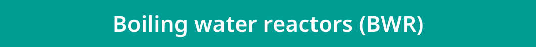 Boiling water reactors (BWR)