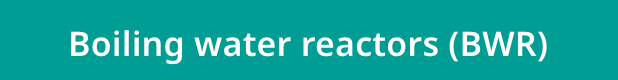 Boiling water reactors (BWR)