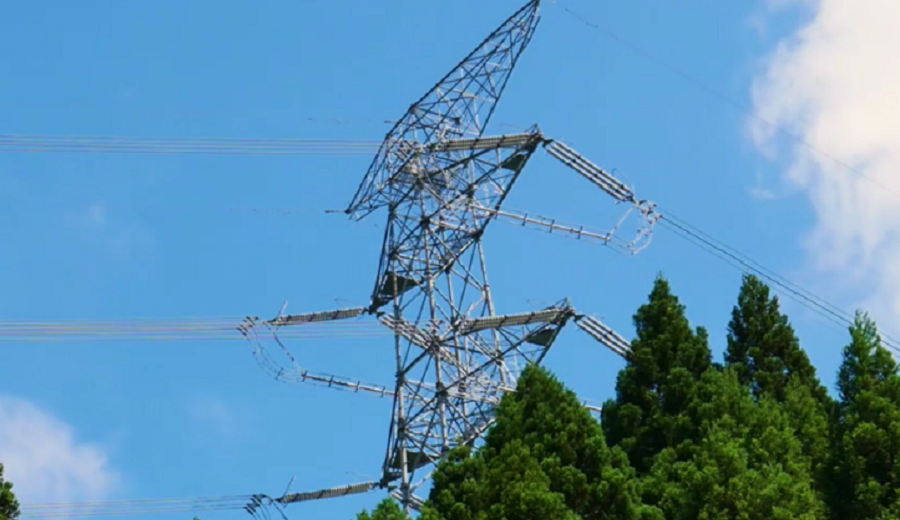 Digital Solutions for Power Grids: Guiding North American Electric Utilities to the Resolution of their Management Issues