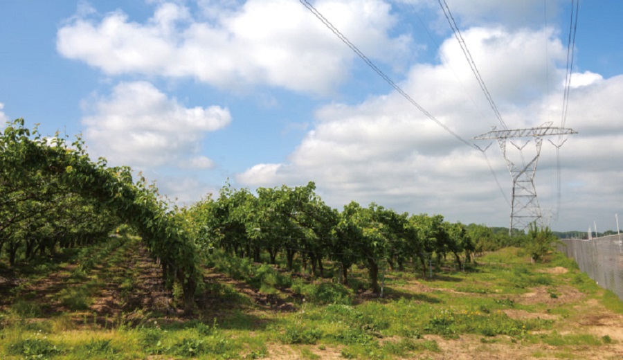 Energy storage systems: Stabilizing power supply that also incorporates renewable energy