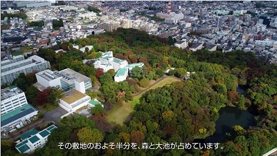 Video thumbnail:The Nature of Central Research Laboratory: The Beauty of Nature