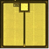 TED-MOS, a Newly Structured SiC Power Device