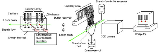 fig1