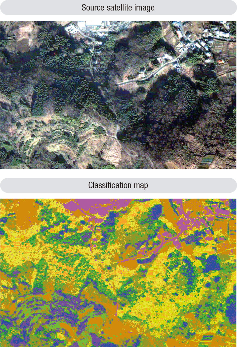 Fig. 5|Mapping of Vegetation Distribution from Satellite Images