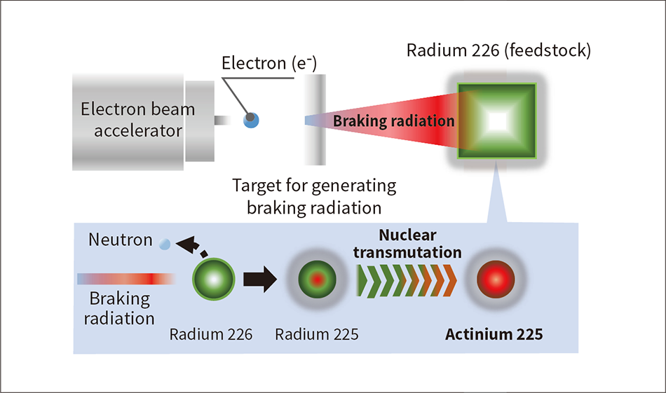 ［05］Targeted alpha-particle therapy and use of electron linear accelerator to produce actinium 225