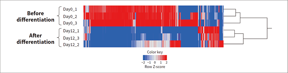 ［06］Expression data for exosome-derived miRNA secreted from iPS cells (microarray)