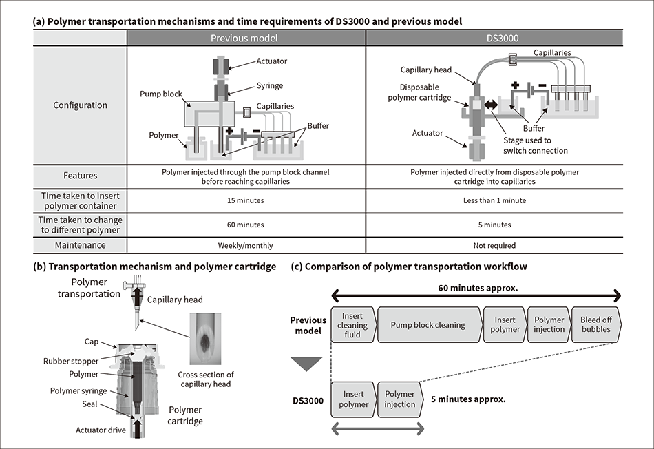 Figure 3 — Comparison of Polymer Transportation Mechanisms and Transportation Paths