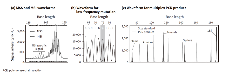 Figure 6 — Analyses Conducted Using DS3000