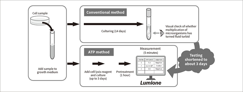 Figure 3 — Sterility Testing Procedure for Cell Sample
