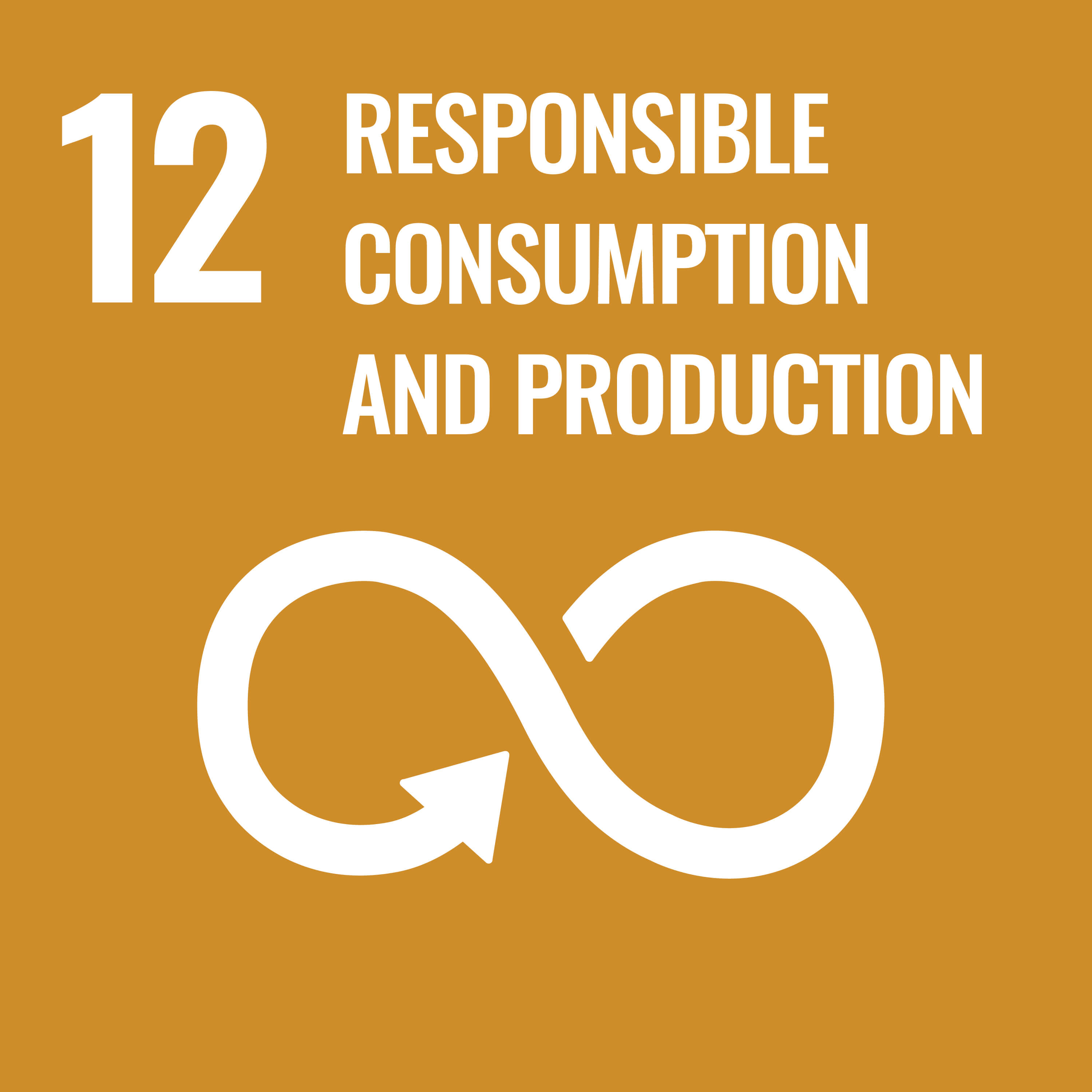 12 Responsible consumption, production