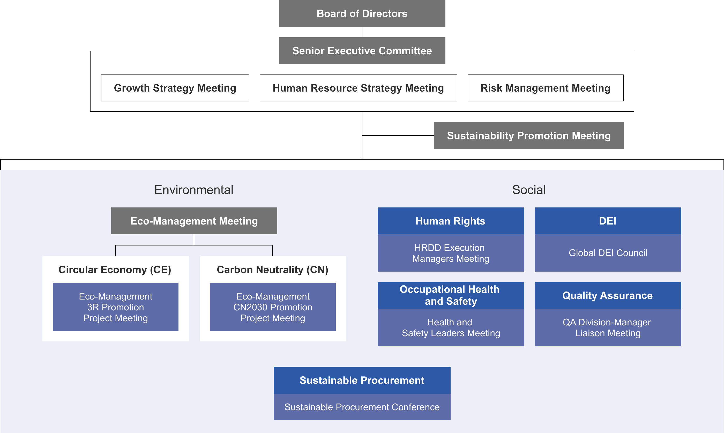 Diagram showing  that the oversight and delivery of Hitachi’s sustainability strategy ultimately sits with senior leadership